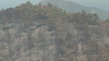 Son dakika haber... Marmaris'teki orman yangınına müdahale sürüyor (3)