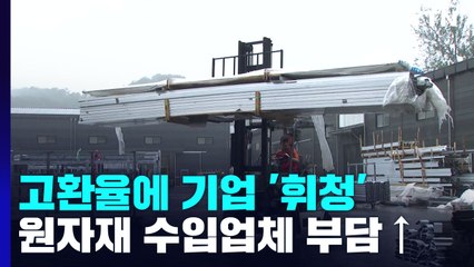 고환율에 신음하는 기업들...원자재 수입 업체 '이중고' / YTN