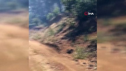 Biri bitmeden diğeri başlıyor! Muğla’dan sonra bir kentte daha orman yangını
