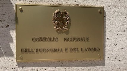 Ue, dal Cnel proposte su governance e welfare