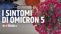 Covid, virus torna a circolare con Omicron 5: tutti i sintomi della nuova sottovariante