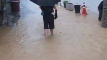 수도권 집중 호우에 도심 곳곳 피해신고 잇달아 / YTN