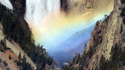 Beautiful Rainbow on the Lower Falls of Yellowstone National Park