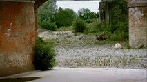Siccità a Piacenza, sotto il ponte del Trebbia non scorre più acqua