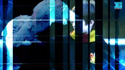 Ethan Hawke villano y un perro héroe, las novedades en el cine