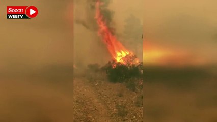 Download Video: Marmaris yangını çöplüğe ulaştı