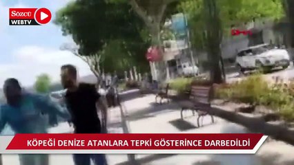 Köpeği denize atanlara tepki gösterince darbedildi