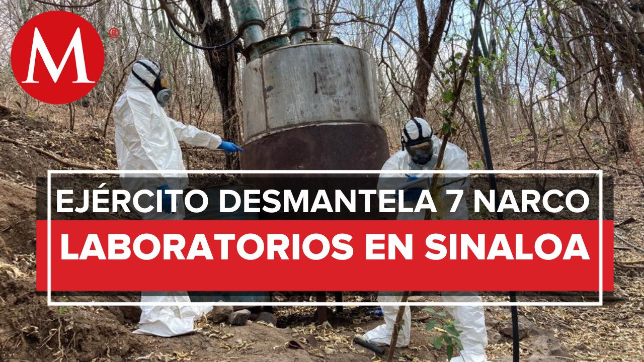 Inhabilitan tres laboratorios clandestinos en Sinaloa