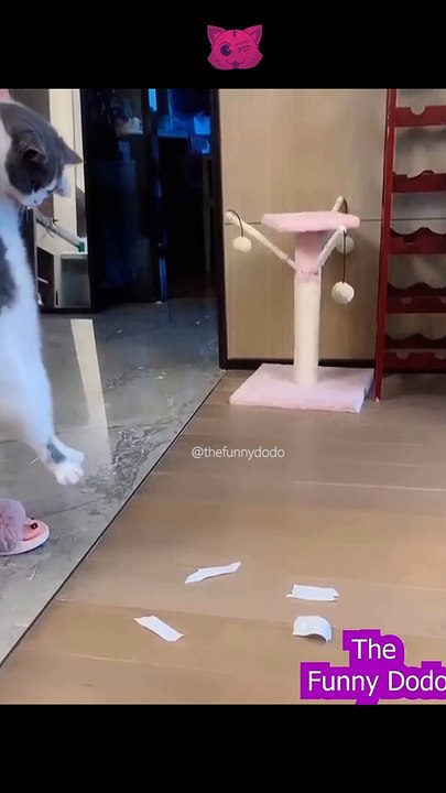 Try not to laugh | Funny animal video 2022 #shorts #cat #dog