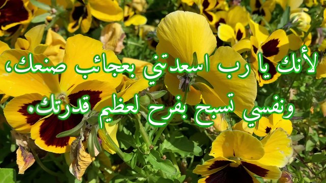دعاء النبي داود - مزمور 92