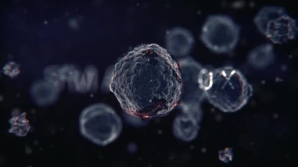 The Division - Trailer zu »Collapse - Die Untergehsimulation«