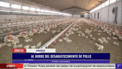 El sector avícola habla de un posible desabastecimiento de pollo