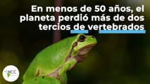 En menos de 50 años, el planeta perdió más de dos tercios de vertebrados | 459 | 27 - 06/3 - 07/2022