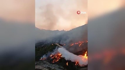 Son dakika haber! KKTC'de devam eden orman yangını yeniden şiddetlendi