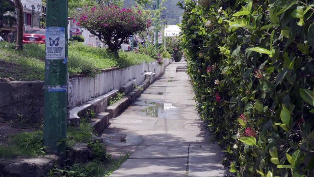 Falta mantenimiento al puente de Los Camarones | CPS Noticias Puerto Vallarta