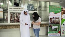 شاهد: تشجيع على استخدام التطبيقات الذكية لطلب أضاحي العيد في دبي