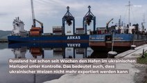 Ende der Weizen-Blockade in Sicht? EU sucht nach Lösungen