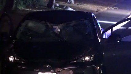 Una adolescente y un hombre mueren trágicamente tras ser atropellados en National City