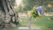 Travel Protection with Mountain View Funeral Home and Cemetery