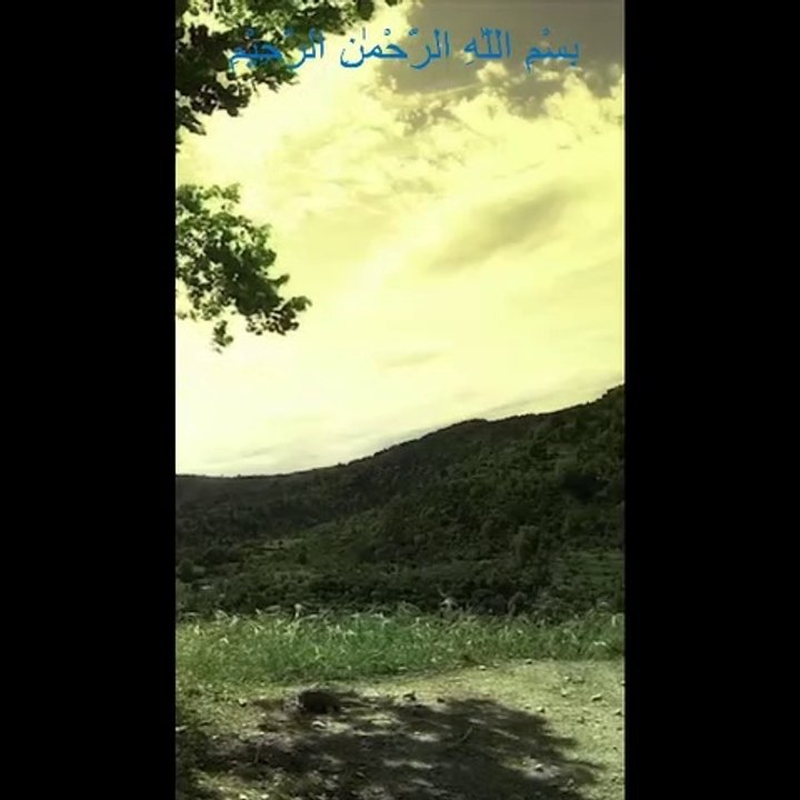 At-Tin,surah juz amma,bacaan shalat,dzikir,bacaan al-qur'an