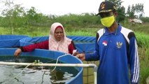 3 Bulan Buron Setelah Tipu Warga RP 19 M, Bos Investasi Ikan Lele Ditangkap Polda Jambi