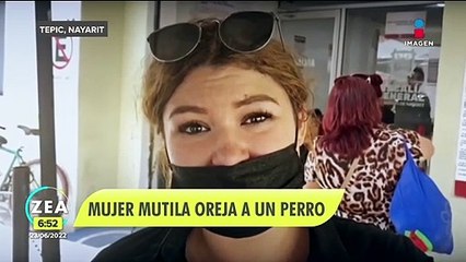 Mujer mutila oreja a perrito en Tepic, Nayarit