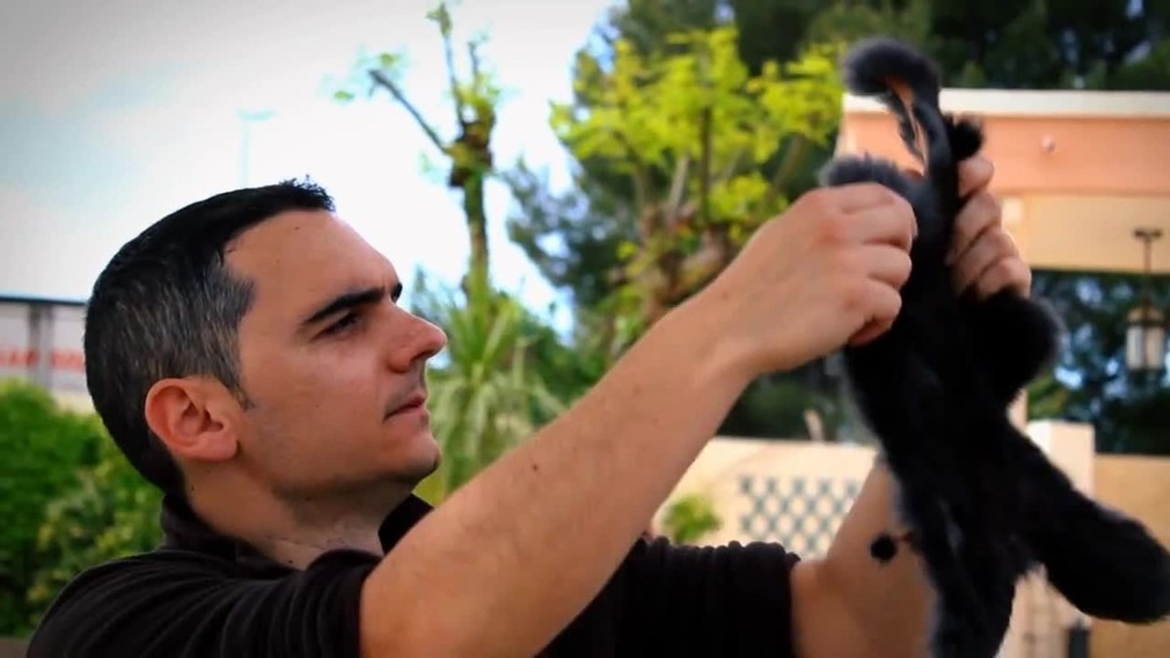 Prehistory: Where Everything Begins - Skurriles Entwickler-Video zum Kickstarter-Start