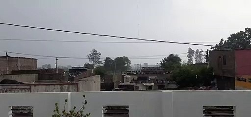 तेज हवा के साथ बारिश से उखड़े पेड़