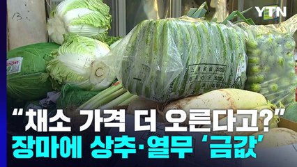 "채소 가격 더 오른다고?"...장마에 상추·열무 '금값' 된다 / YTN