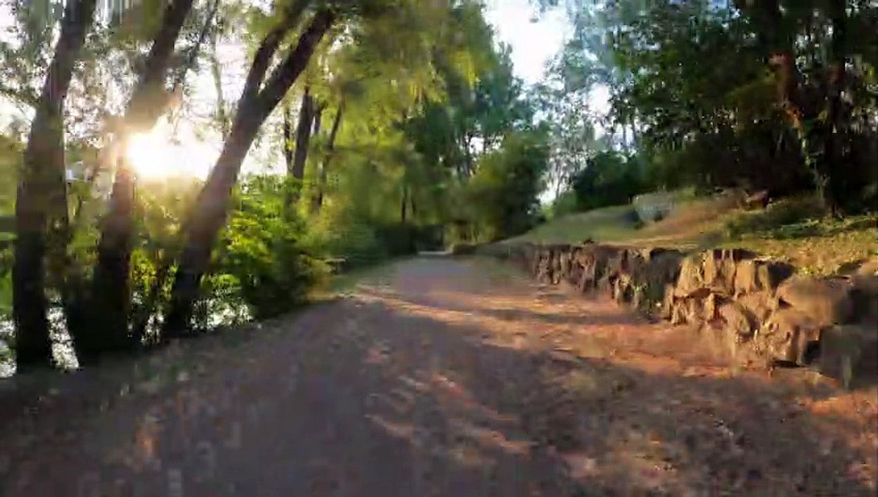 Wien am Rad: Donaukanalradweg Erdberger Steg morgens