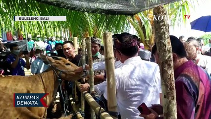 Tangani PMK, Kementan Siapkan 3 Juta Vaksin