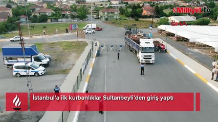 İstanbul’a ilk kurbanlıklar Sultanbeyli’den giriş yaptı