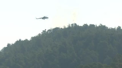 Marmaris'teki orman yangınına havadan ve karadan müdahale ediliyor