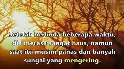 Burung elang pemburu