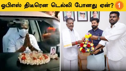 ADMK குழப்பத்துக்கு மத்தியில் OPS டெல்லி போனது ஏன்? பரபரப்பு தகவல்கள் *Politics