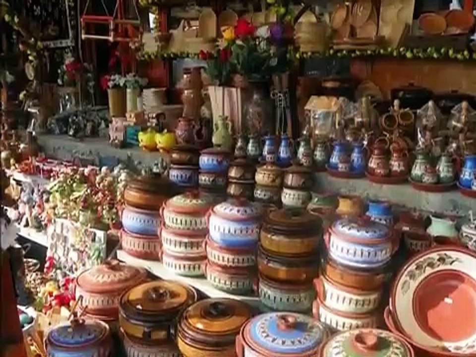Puiu Nastase  Mai romani ,veniti acasa !