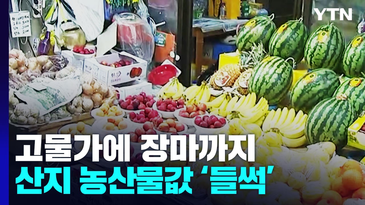 이미 비싼데 들썩이는 채솟값...장마에 '시금치·열무' 금값 / YTN
