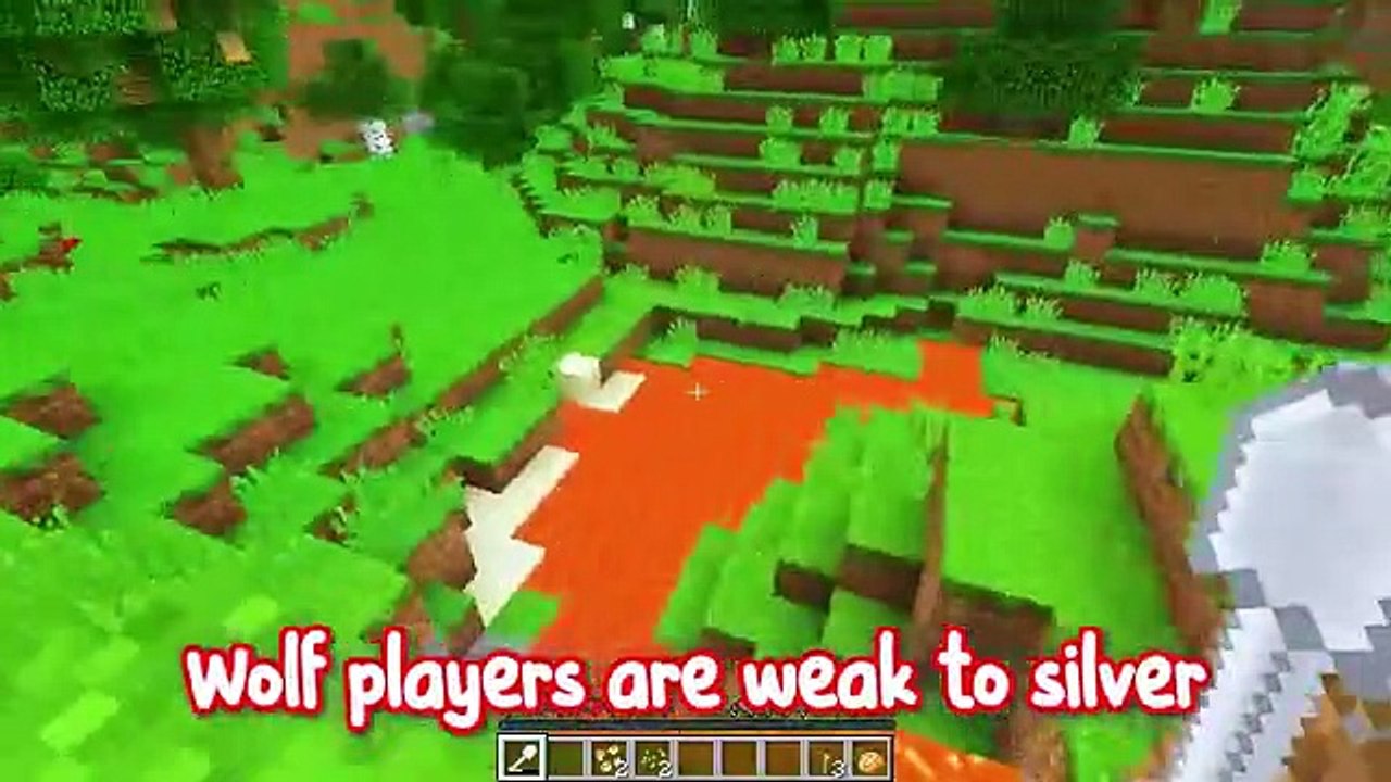 Minecraft