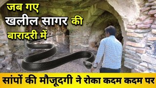 When we went to  Khalil Sagar's Baradari, the presence of snakes stopped us at every step ! The Mysterious Baradari of Narnaual
