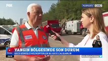 Muğla Büyükşehir Belediye Başkanı Osman Gürün: Son 12 saatte 250 futbol sahası büyüklüğünde bir alan yandı