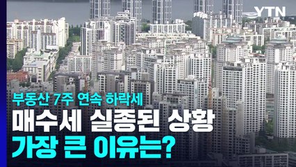 부동산, 7주 연속 하락세...매수세 실종된 상황, 가장 큰 이유는? / YTN