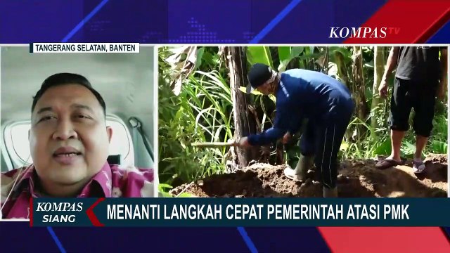 Apakah Virus PMK Ternak Bisa Menyebar Lewat Daging Beku? Ini Kata Dosen Fakultas Peternakan IPB!