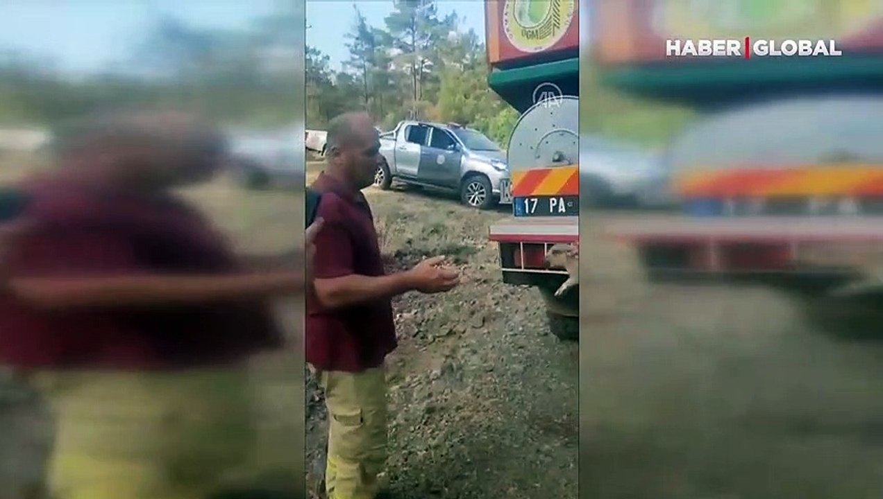 Marmaris'teki yangında mahsur kalan kaplumbağa ve domuz yavrusunu ormancılar kurtardı