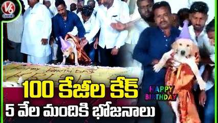 Pet Dog Birthday Celebrated Grandly In Karnataka _ V6 News