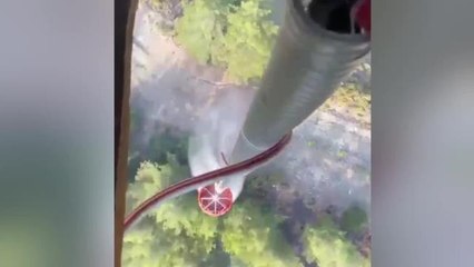 Marmaris'teki Orman Yangını Devam Ediyor: 3 Bin 417 Hektar Alan Zarar Gördü