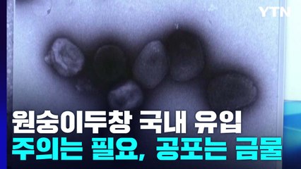 "원숭이두창 치명률 0.1∼0.2% 전망"...주의는 필요 공포는 금물 / YTN