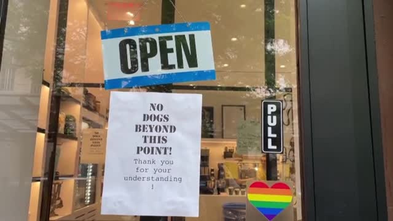 Abre en Nueva York un establecimiento de café para perros y sus dueños