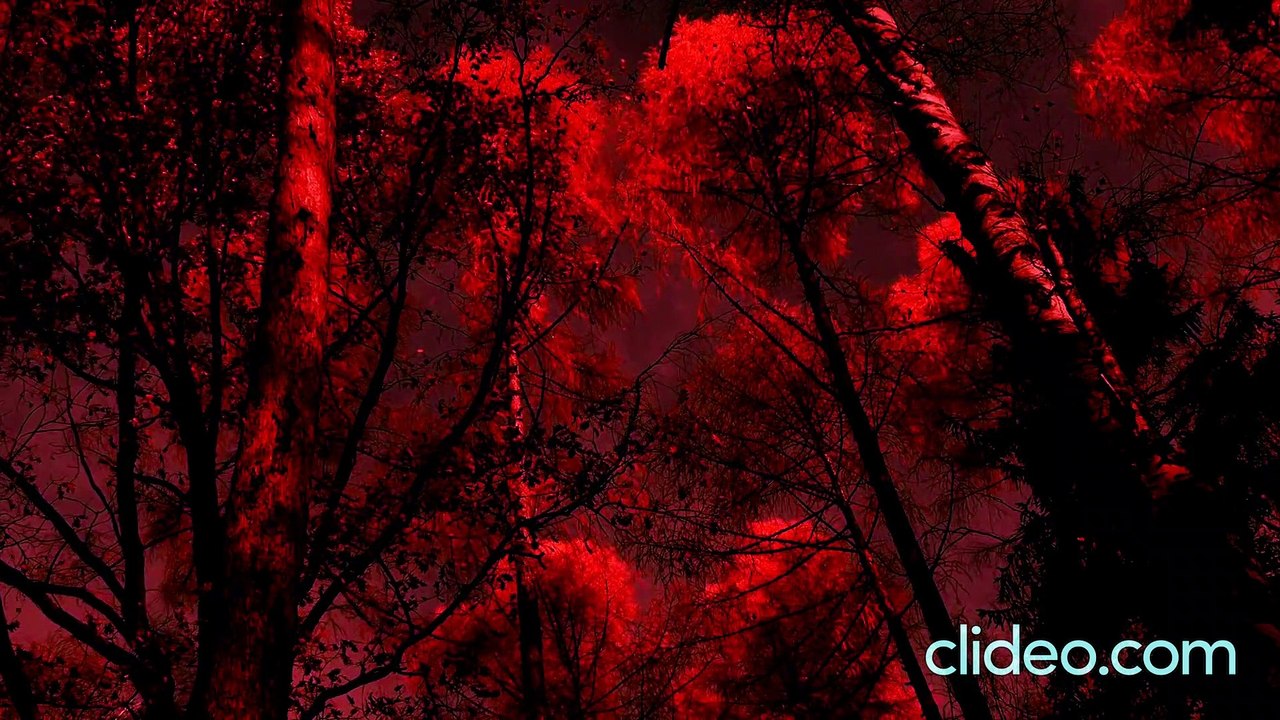 Musique libre orage et pluie musique particuliere qui m'a pris pas mal de temps a réaliser clip HD