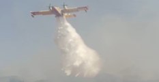 Motta San Giovanni (RC) - Incendio di vegetazione, in azione Canadair (24.06.22)