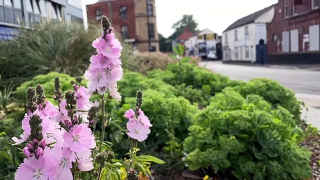 Wakefield by-election: Labour gain Wakefield from the Conservatives